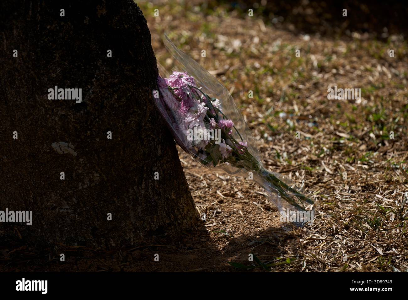 Ein kleiner Blumenstrauß aus rosa und weißen Blumen neben einem Baumstamm als Hommage an diejenigen, die gegangen sind. Stockfoto