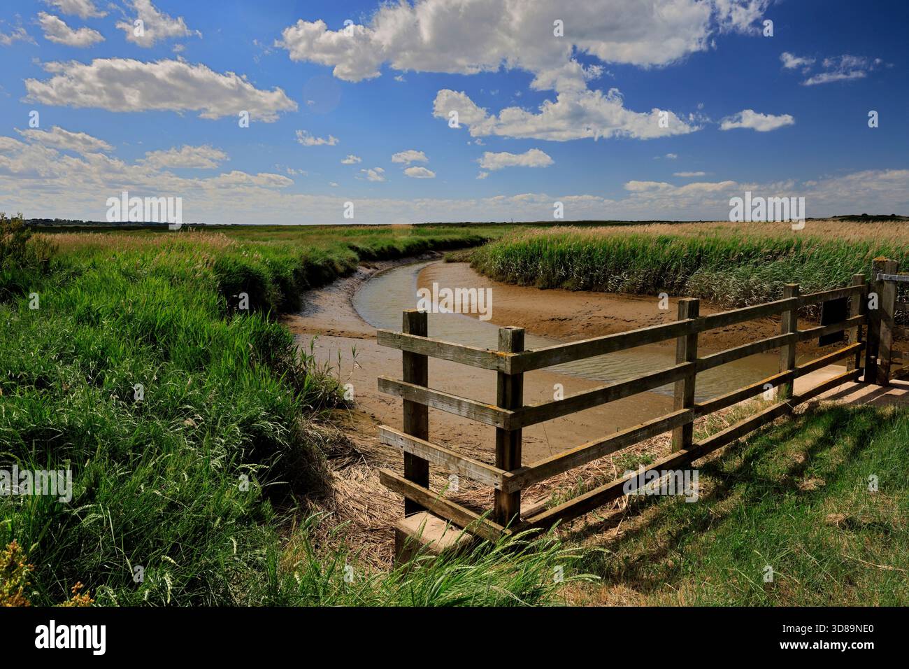 Sommerblick über die frischen Marschen, Cley-next-the-Sea, North Norfolk Coast, England Stockfoto