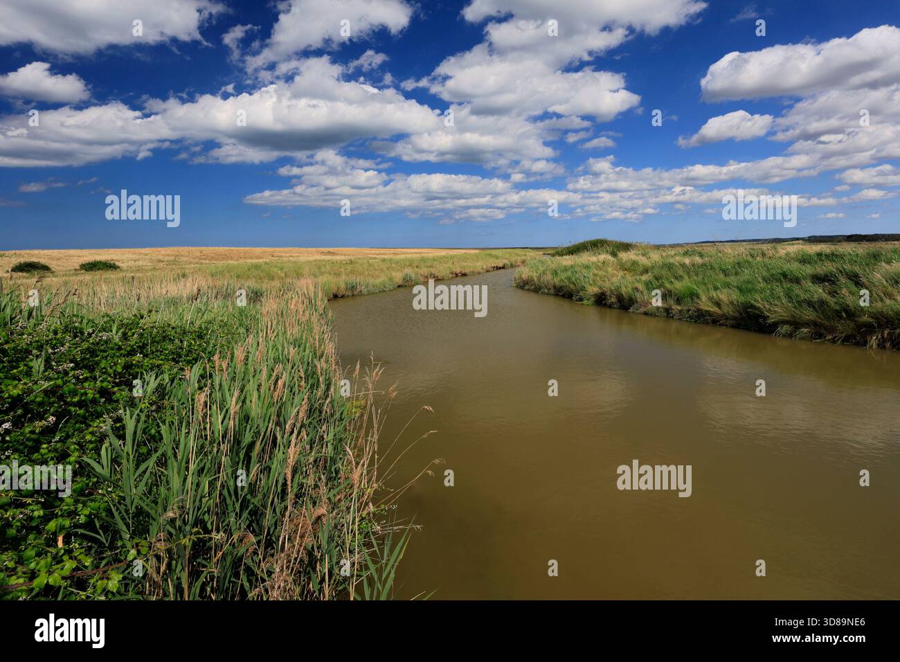 Sommerblick über die frischen Marschen, Cley-next-the-Sea, North Norfolk Coast, England Stockfoto