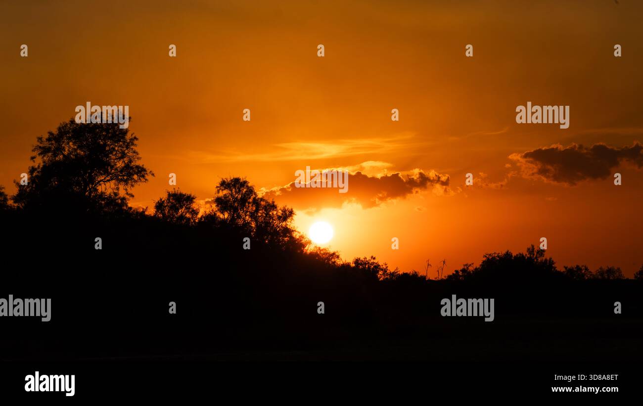Sanfter orangefarbener Sonnenuntergang, der dichte Sumpfvegetation beleuchtet und eine friedliche und stimmungsvolle natürliche Szene schafft. Stockfoto