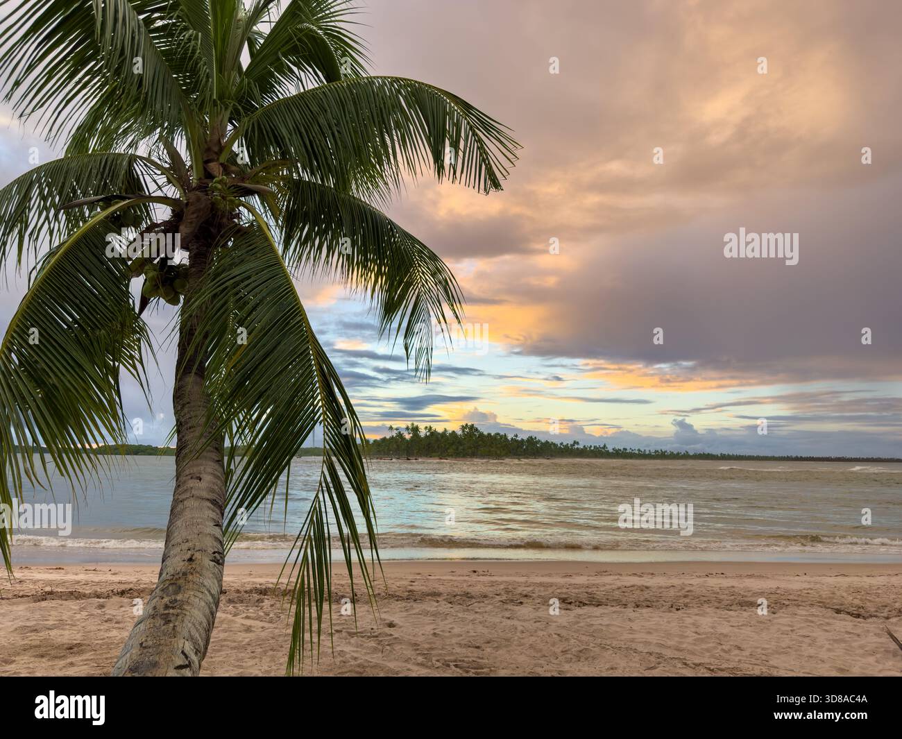 Herrlicher Tag am Himmel auf der Insel Boipeba in Bahia Stockfoto