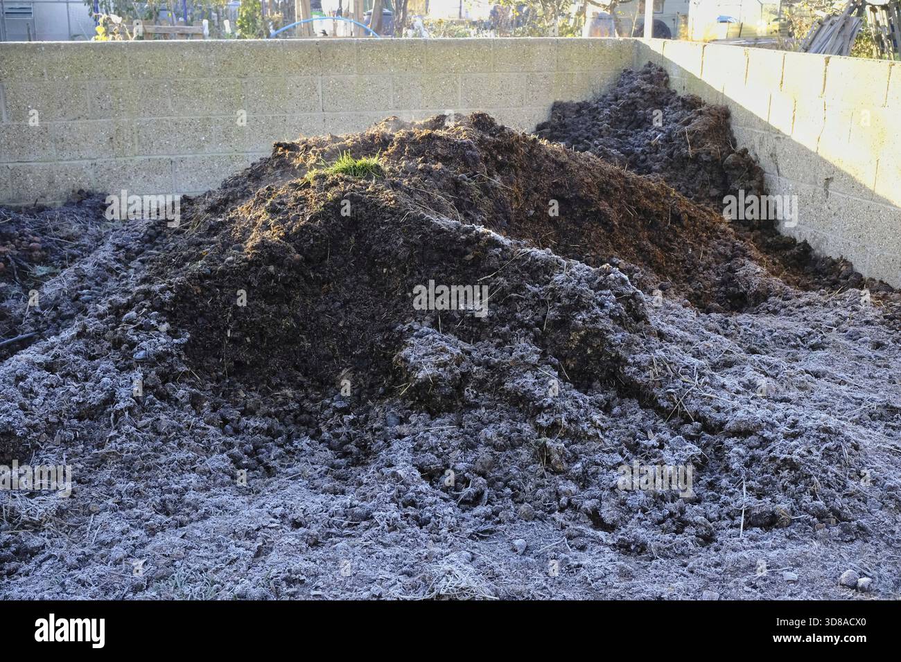 Düngerhaufen auf einer Kleingartenfläche, die mit frühmorgendlichem Frost bedeckt ist, zeigt die Winterbedingungen und Bio-Gartenmaterialien. Stockfoto