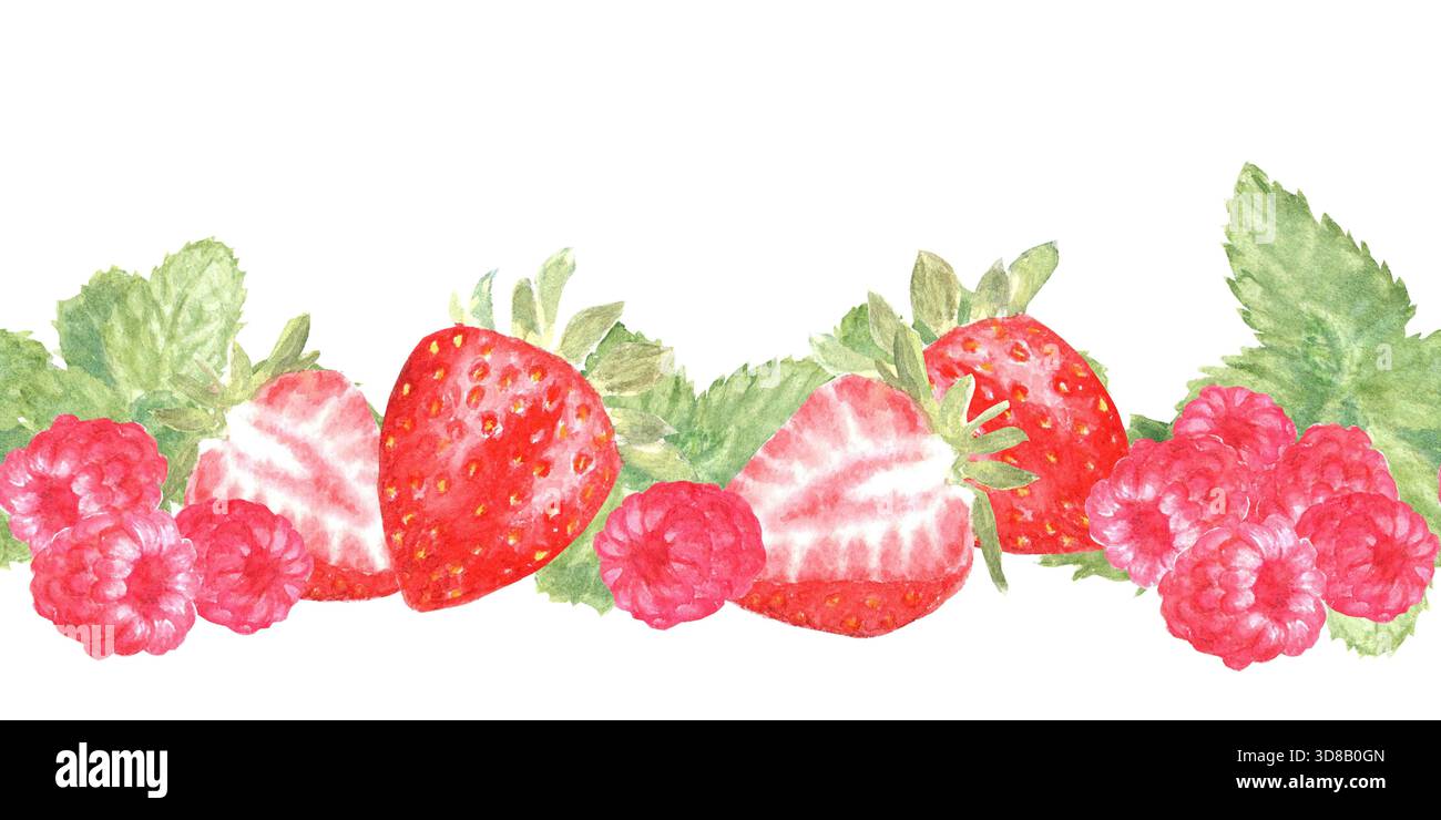 Nahtloser horizontaler Rand mit Himbeeren, Erdbeeren und Minze, in Aquarell auf isoliertem Hintergrund gemalt. Einfaches Clipart mit einem schönen Stockfoto