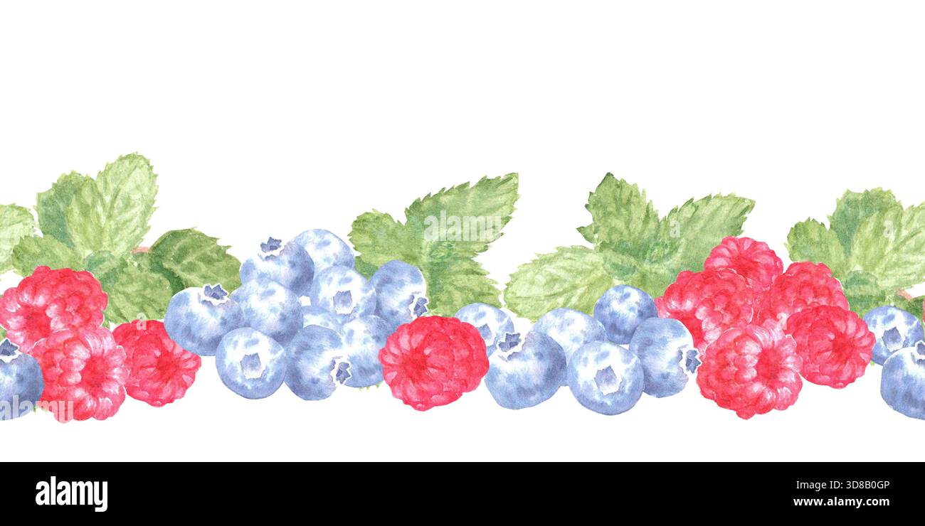 Nahtloser horizontaler Rand mit Himbeeren, Heidelbeeren, Erdbeeren und Minzblättern, in Aquarell auf isoliertem Hintergrund gemalt. Einfacher Clipar Stockfoto
