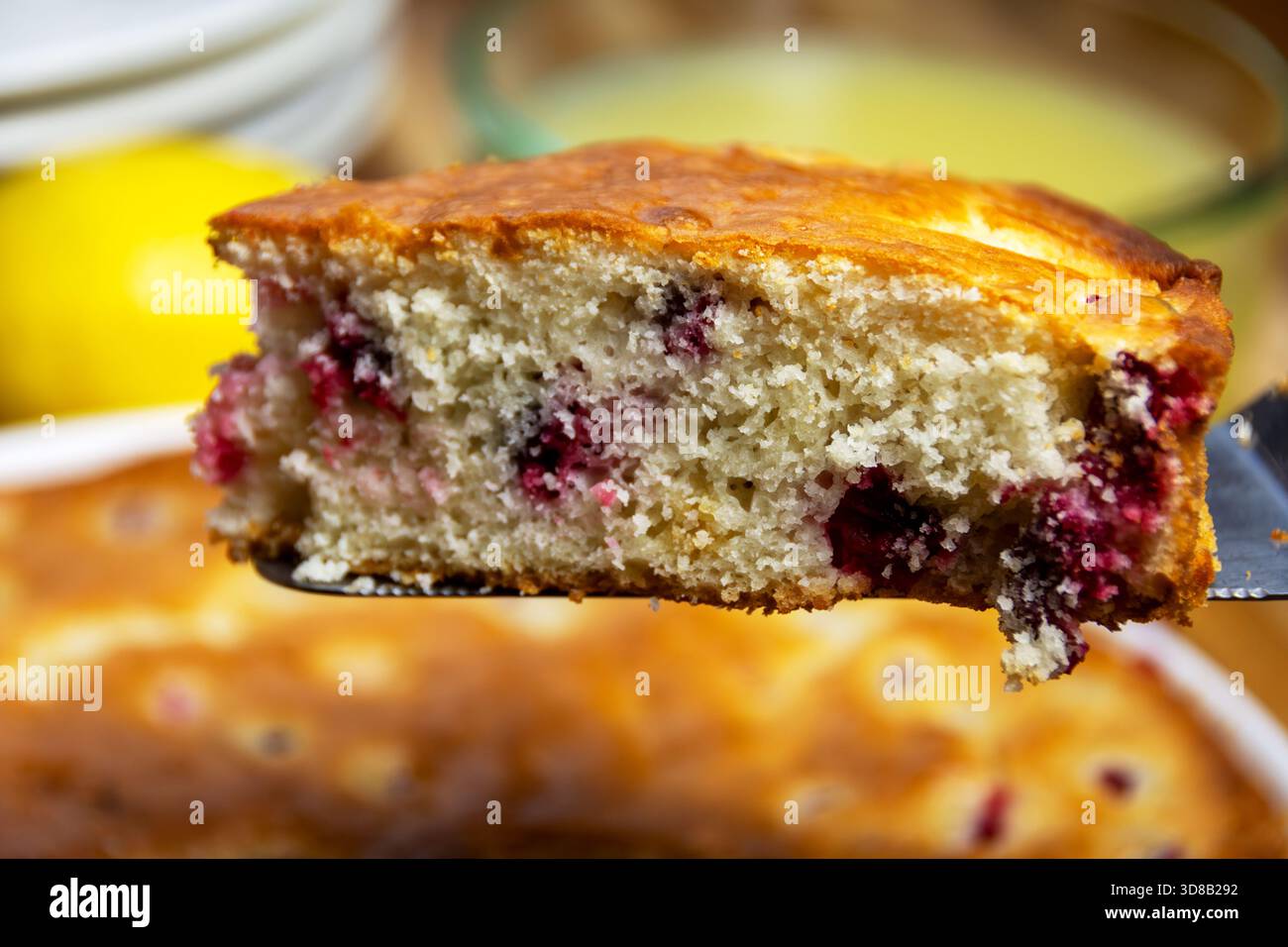 Feuchtes Stück hausgemachter Preiselbeertorte auf einem Servierteller mit roten Preiselbeeren, Krümelstruktur und goldener Kruste vor dem Plattieren. Stockfoto