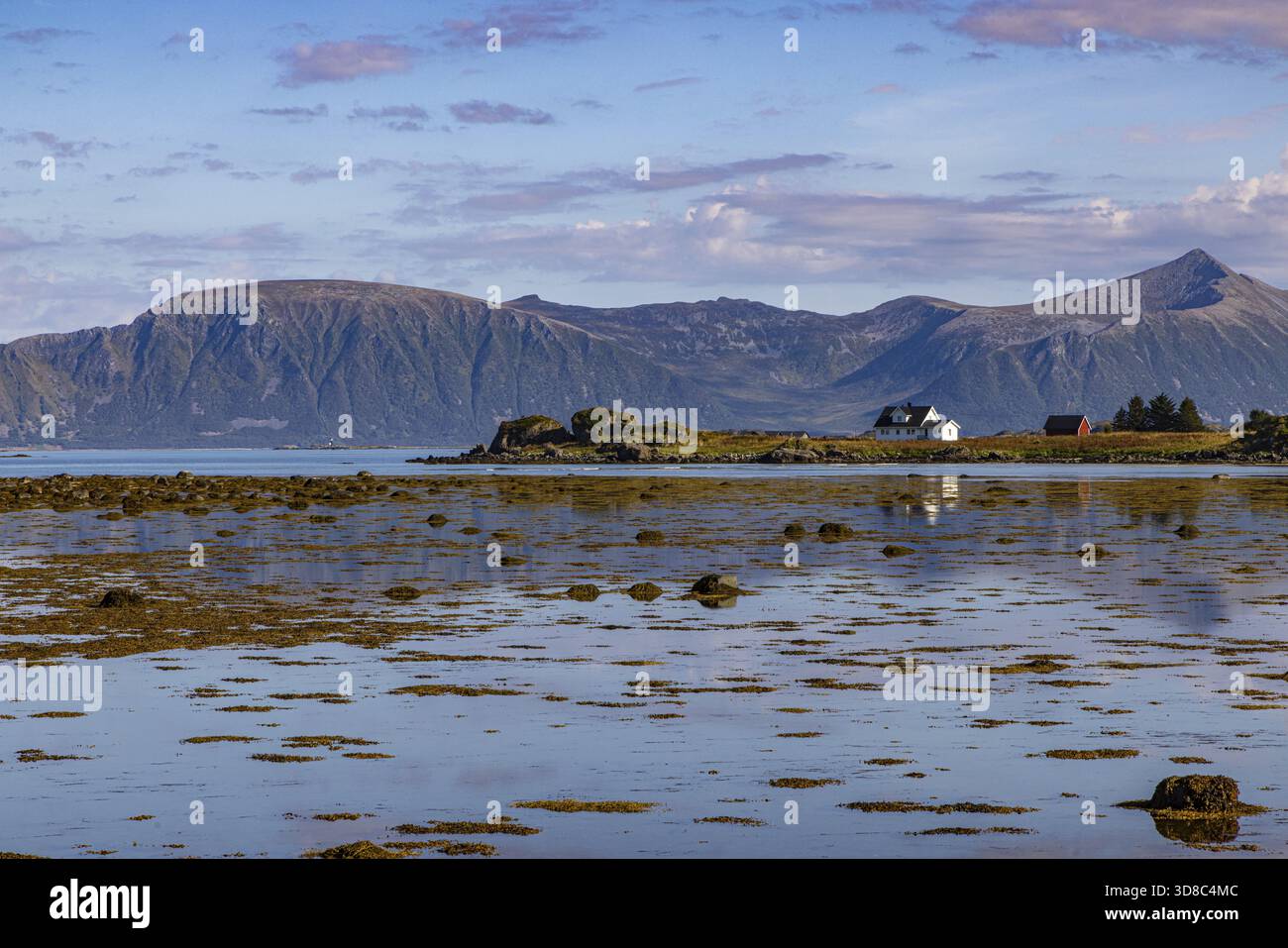 Myre (norway) -Fotos und -Bildmaterial in hoher Auflösung – Alamy