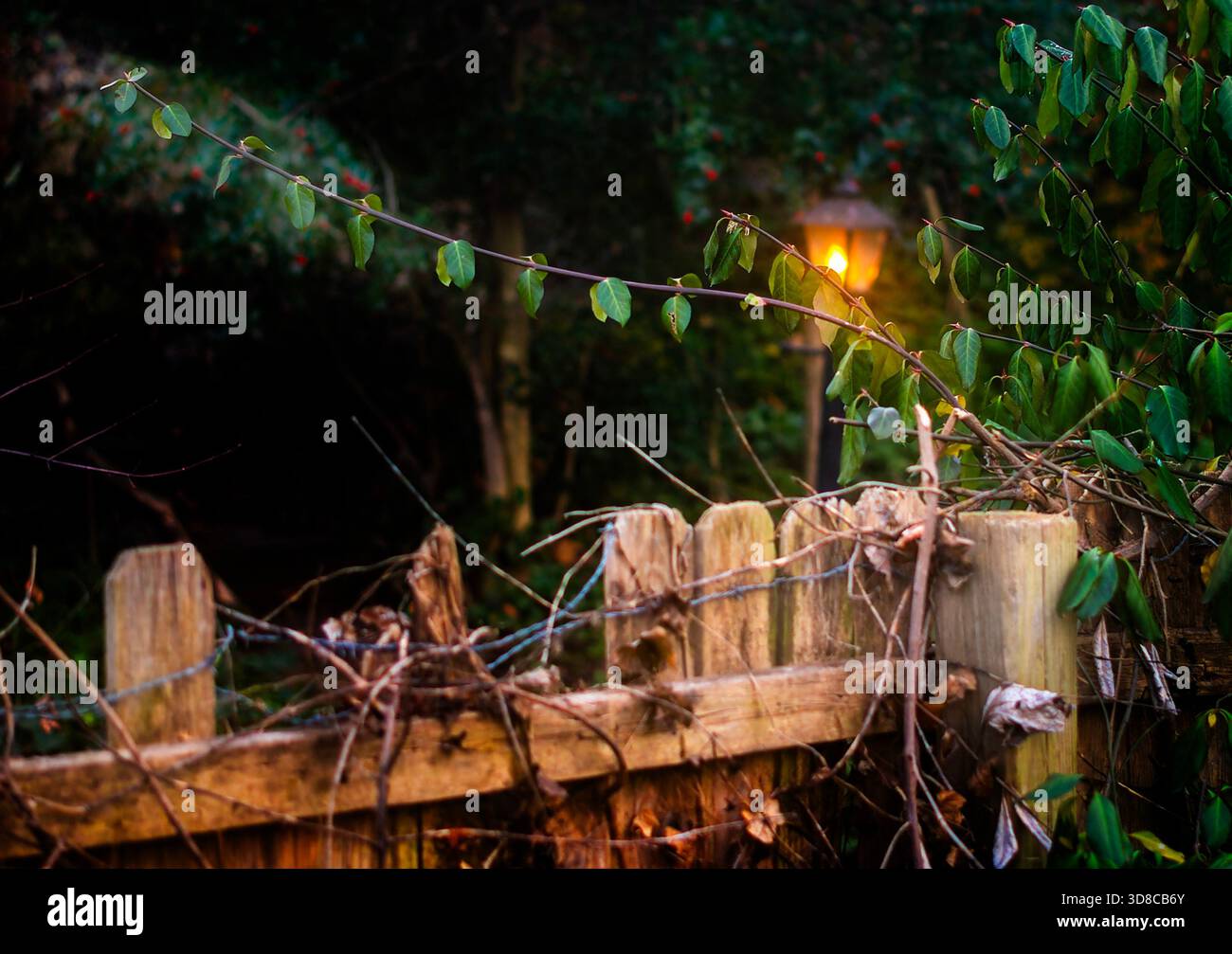 Ein Gartenlicht leuchtet über dem Zaun Stockfoto