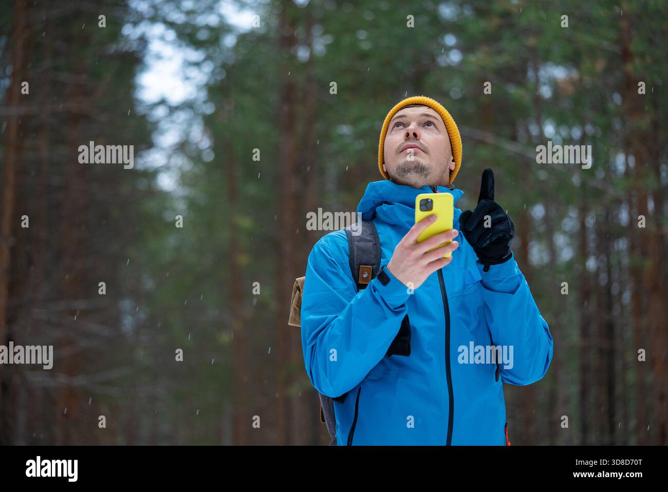 Mann in Wintermütze und Jacke, der ein hellgelbes Smartphone hält und nach oben blickt, Richtung sucht und versucht, sich zu orientieren, während er sich zwischen den hohen Kiefern in einem verschneiten Wald verirrt Stockfoto