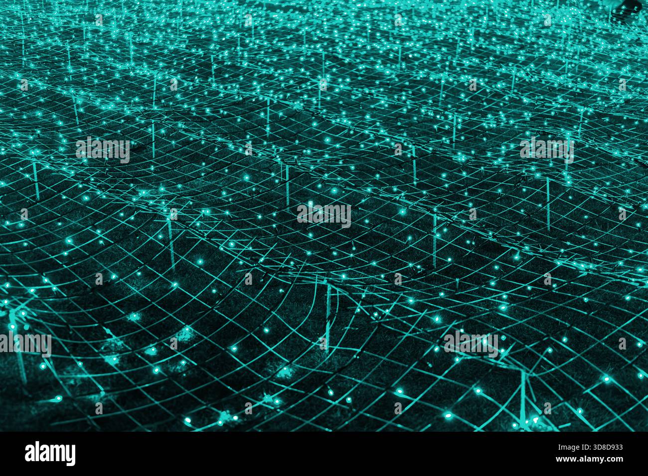 Abstrakter futuristischer Hintergrund von türkisfarbenen LED-Leuchten, die im Gittermuster angeordnet sind, Netzwerk, das in dunkler nächtlicher Atmosphäre leuchtet. Bokeh-Struktur im Hintergrund Stockfoto