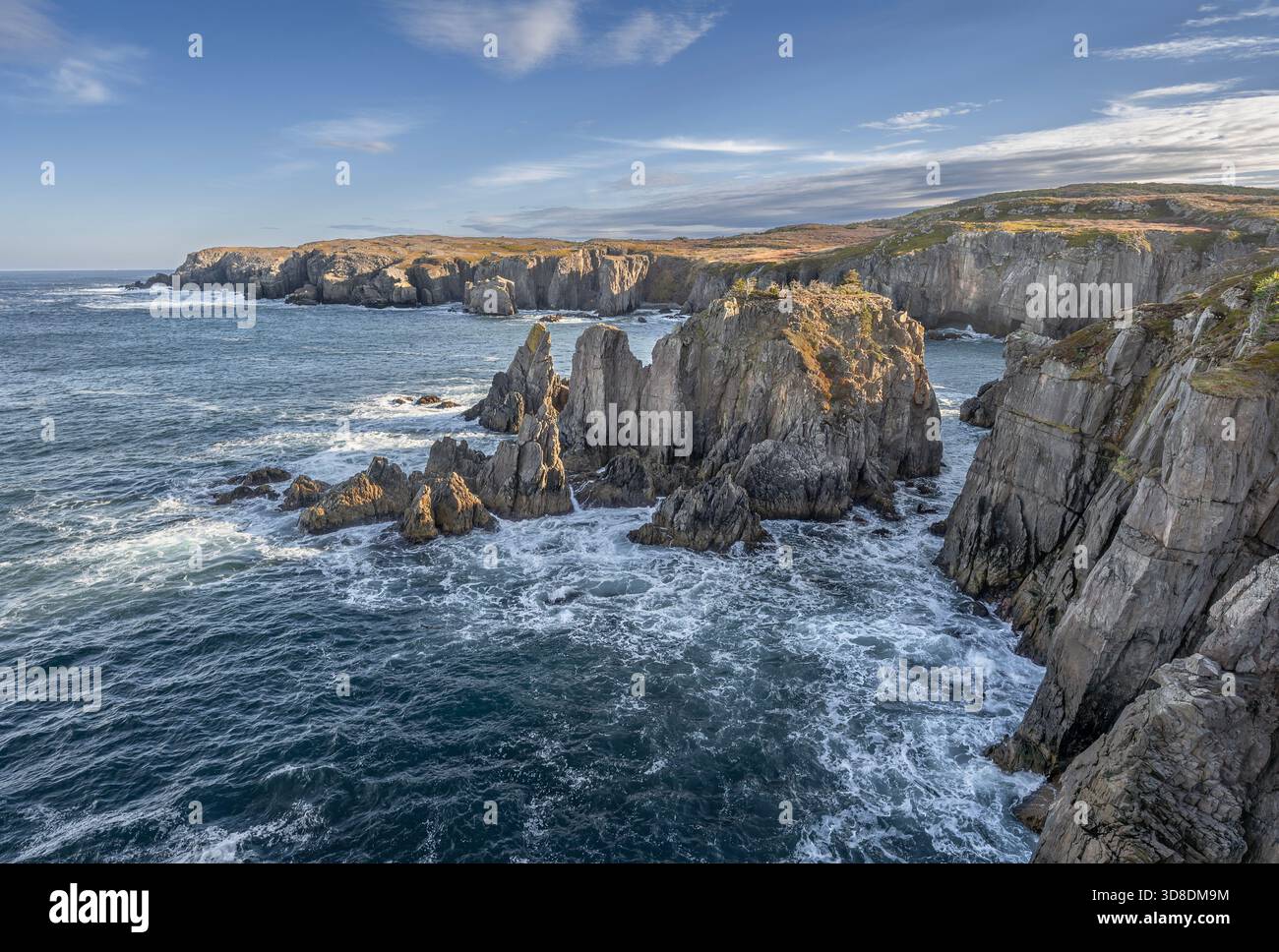 Felsiges Ufer des Spillars Cove Geoparks in Neufundland und Labrador, Kanada Stockfoto