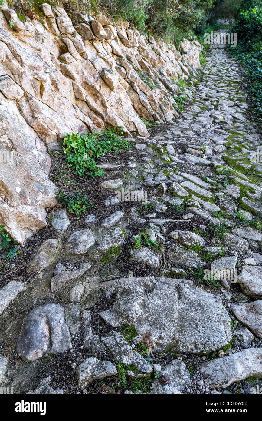 Mauer und Pfad aus lebendigem Stein ohne Mörtel, Randa, Algaida, Mallorca, Balearen, Spanien. Stockfoto