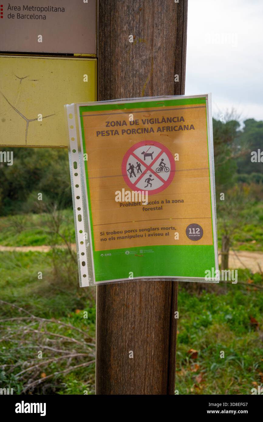 Der Zugang zum Wald wurde wegen der Fälle des Virus der Afrikanischen Schweinepest bei Wildschweinen - Schweinesenglars - im Parc Collserola, zwischen Barcelona und Sant Cugat gesperrt Stockfoto