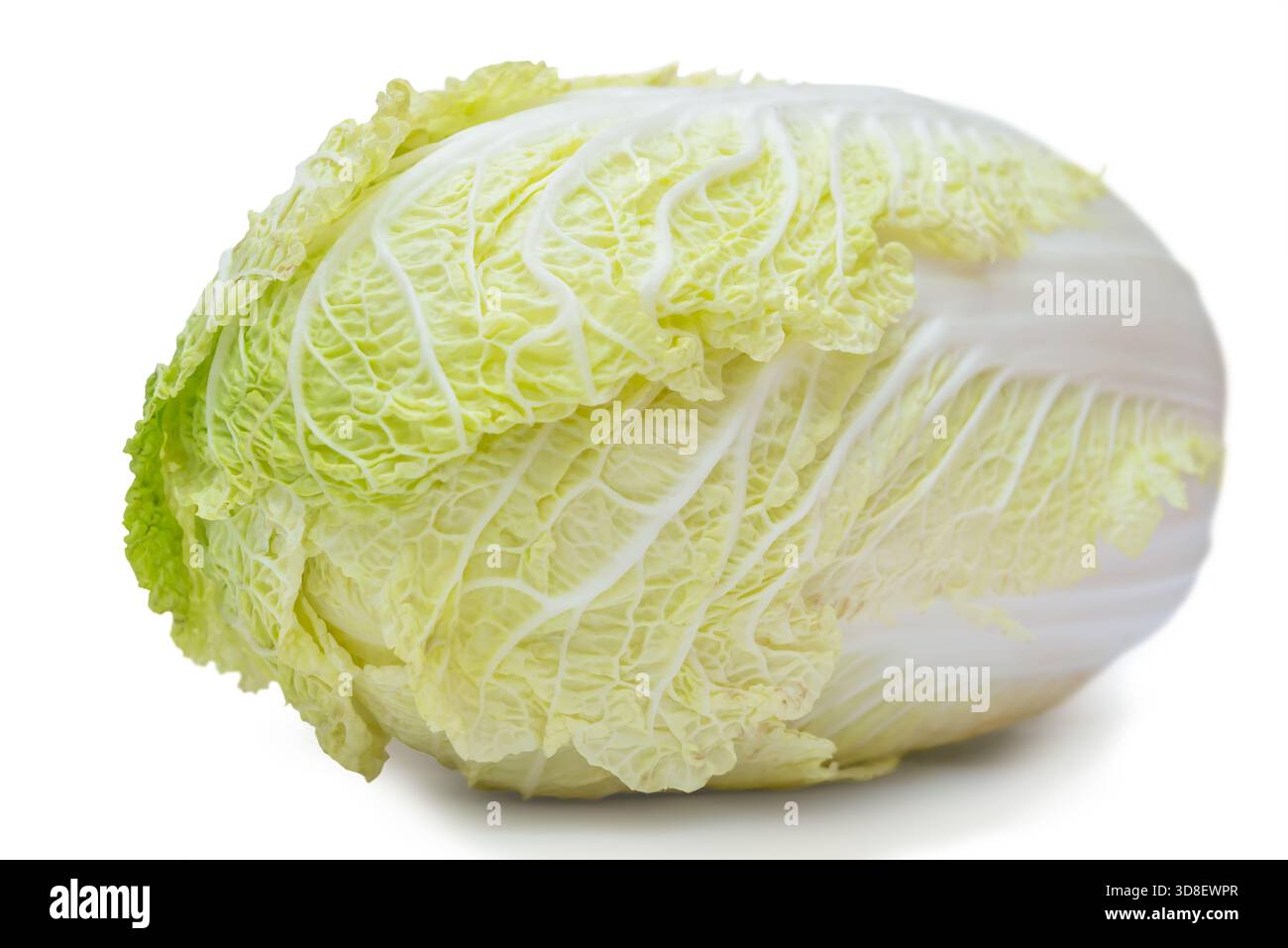 Napa-Kohl sitzt mit seinen grün-weißen, knusprigen Blättern schön angeordnet und zeigt seine Frische und Textur auf einer sauberen Oberfläche. Stockfoto