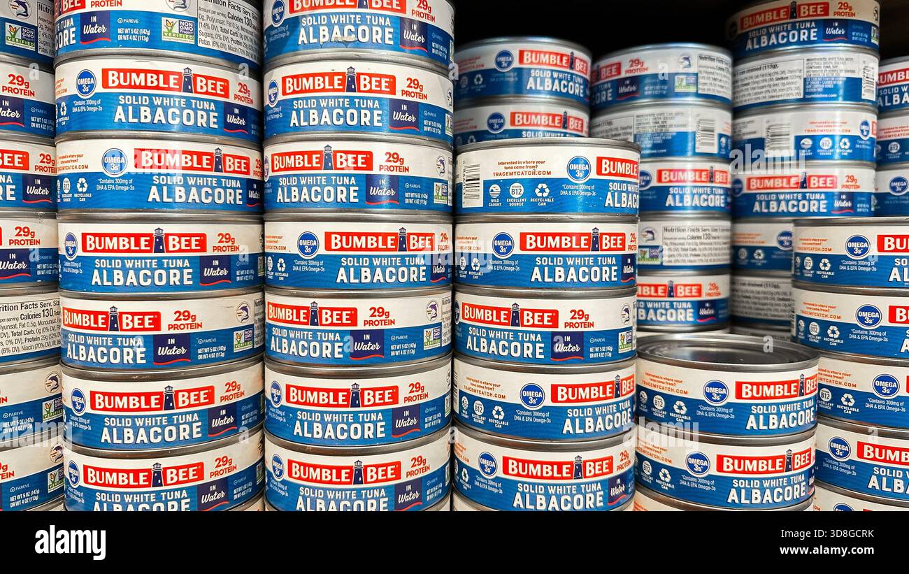 NORWALK, CT, USA – 6. MÄRZ 2025: Reihen von fein angeordneten Thunfischdosen füllen ein Lebensmittelregal mit verschiedenen Etiketten und Nährwertangaben. Stockfoto