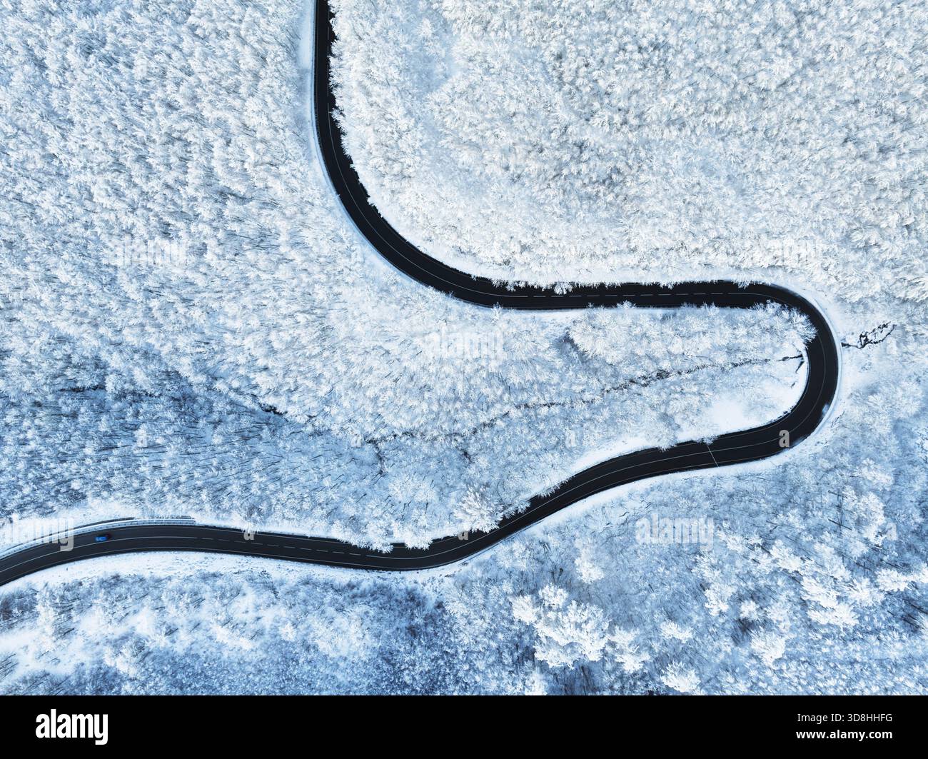 Blick von oben auf die leere Straße entlang des Winterwaldes nach Schneefall. Aus der Vogelperspektive auf die gewundene Straße durch schneebedeckte Bäume Stockfoto