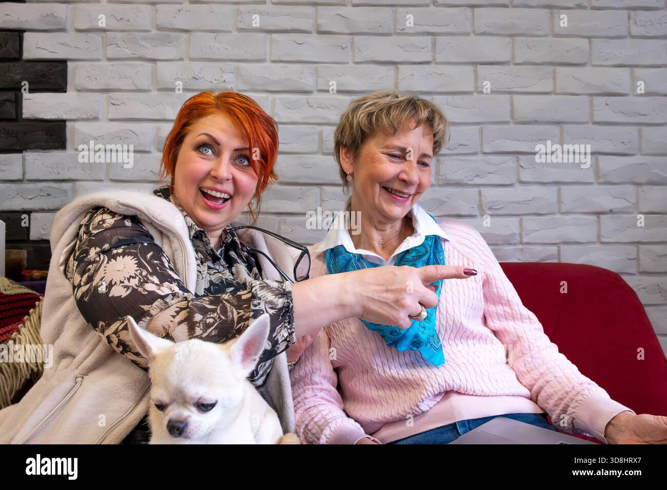 Zwei Frauen unterhalten sich gerne auf einer gemütlichen Couch, mit einem kleinen Hund neben ihnen, der Wärme und Verbundenheit in einer freundlichen Atmosphäre ausstrahlt Stockfoto