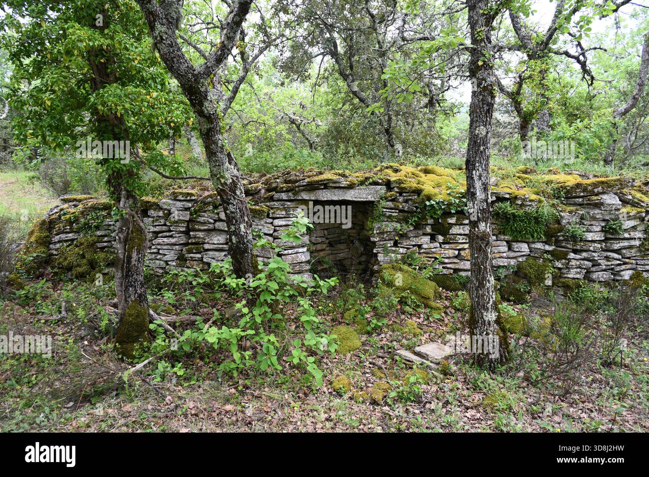 Eintritt zu Dry Stone Hut, Stone Cabanon oder Gallic Hut im Wald in der Nähe von Bonnieux Luberon Provence Frankreich Stockfoto