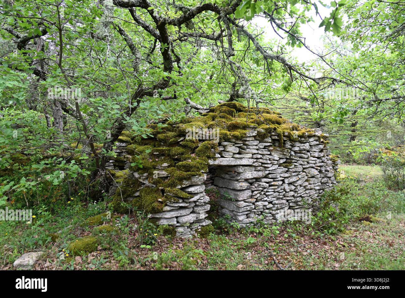 Eintritt zu Dry Stone Hut, Stone Cabanon oder Gallic Hut im Wald in der Nähe von Bonnieux Luberon Provence Frankreich Stockfoto