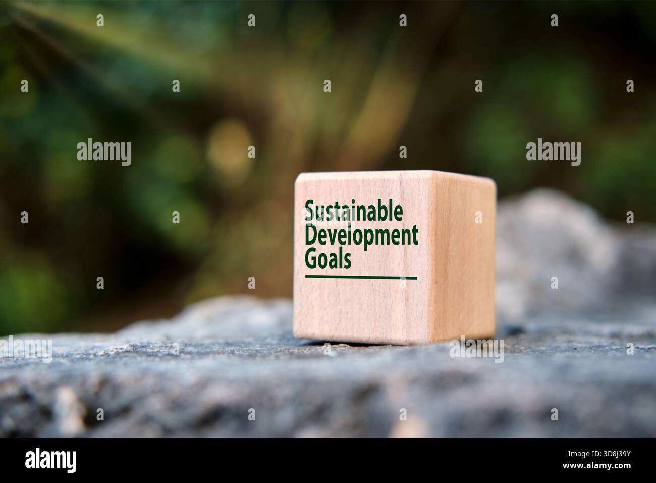 Holzwürfel in einer natürlichen Umgebung mit einer Botschaft für nachhaltige Entwicklungsziele, die globale Bemühungen für eine bessere Zukunft und eine bessere Umwelt repräsentiert Stockfoto