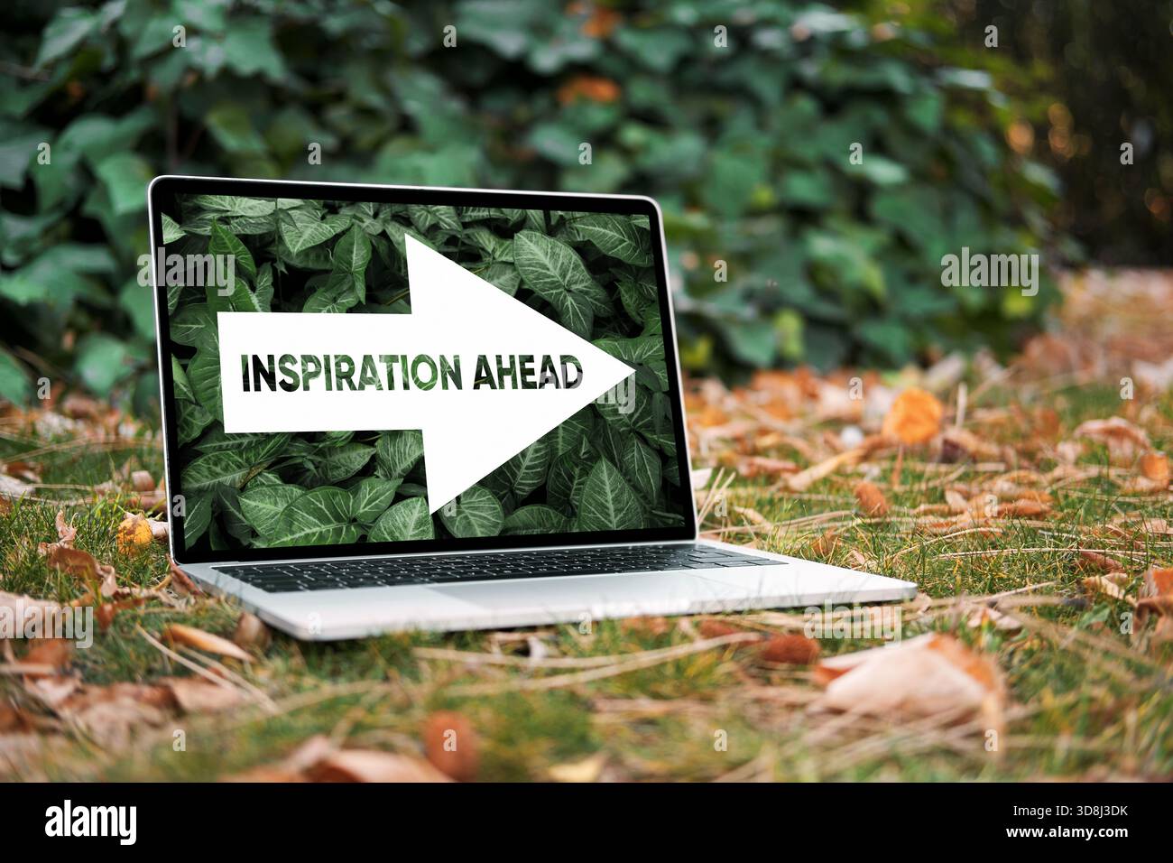 Notebook mit motivierender Inspirationsbotschaft und Pfeil nach vorne, der auf einer natürlichen Umgebung im Freien mit herbstlicher Pause sitzt Stockfoto
