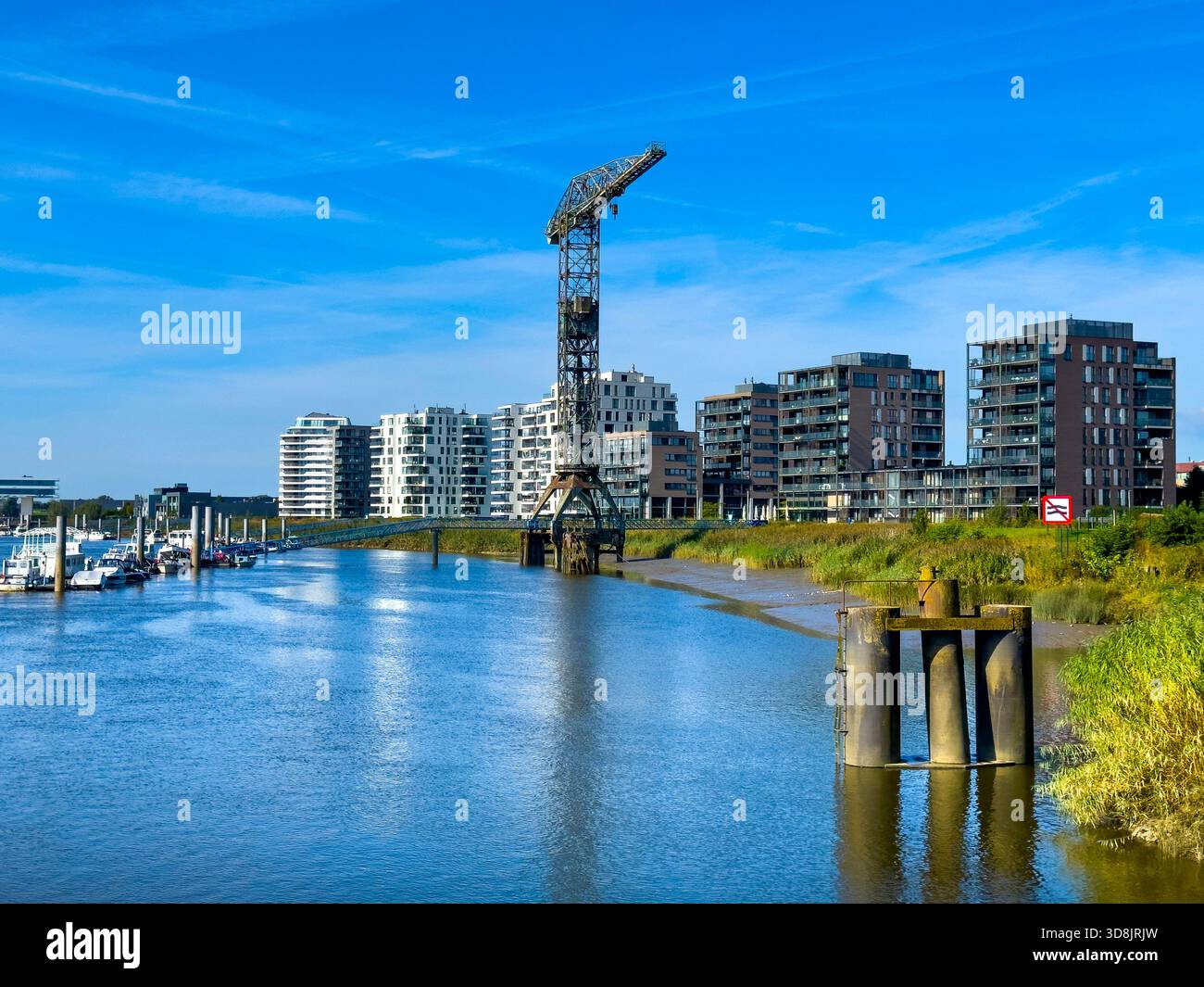 Belgien, Flämische Region, Provinz Ostflandern, Temse. Escaut Banks Stockfoto