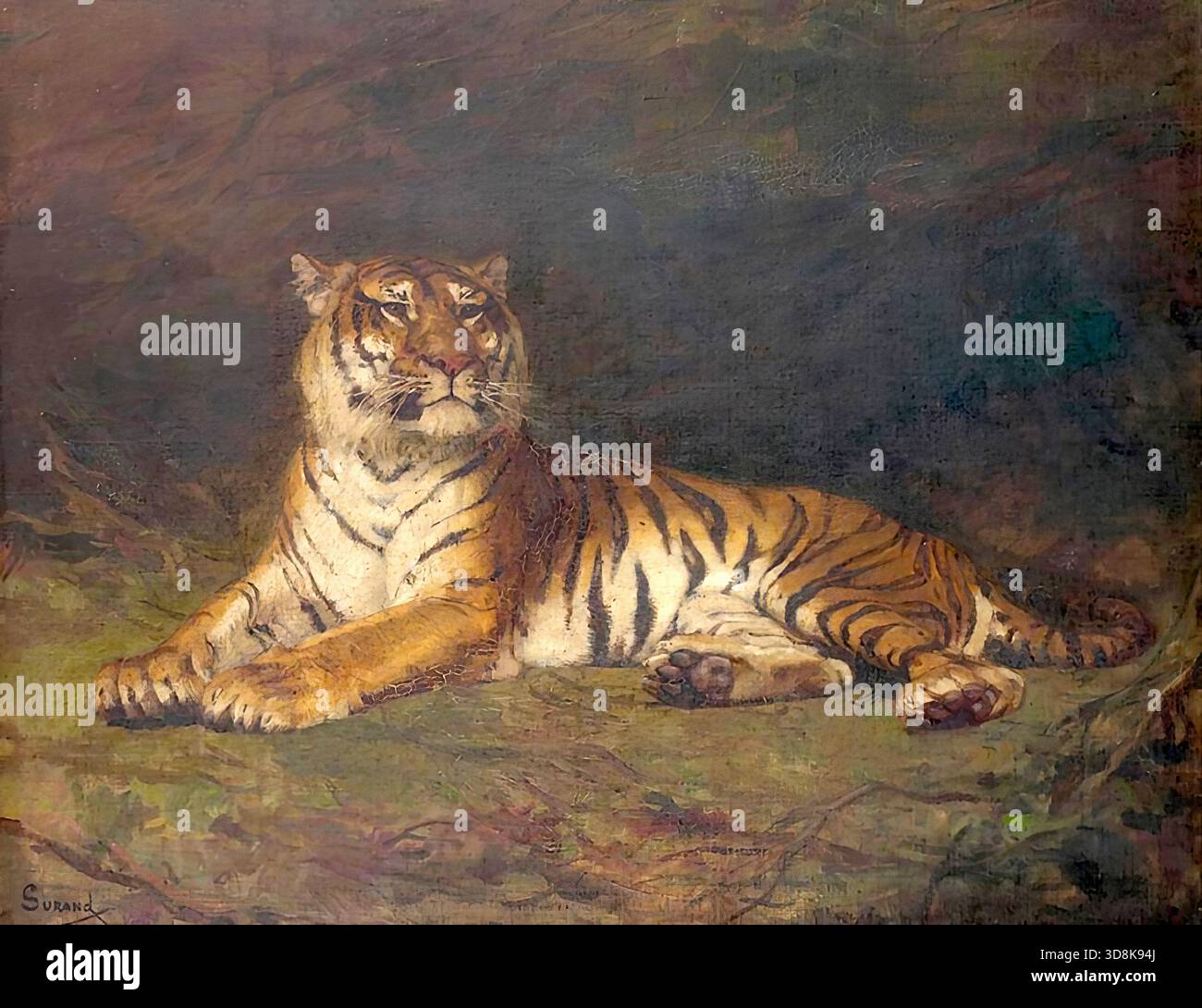 Gustave Surand - Le Tigre Stockfoto