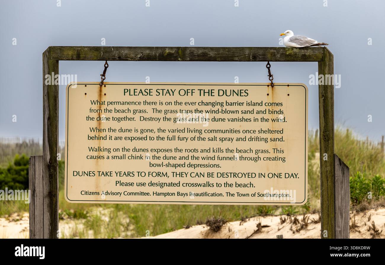 möwe sitzt auf einem Schild und fordert die Leute auf, sich von den Dünen fernzuhalten Stockfoto