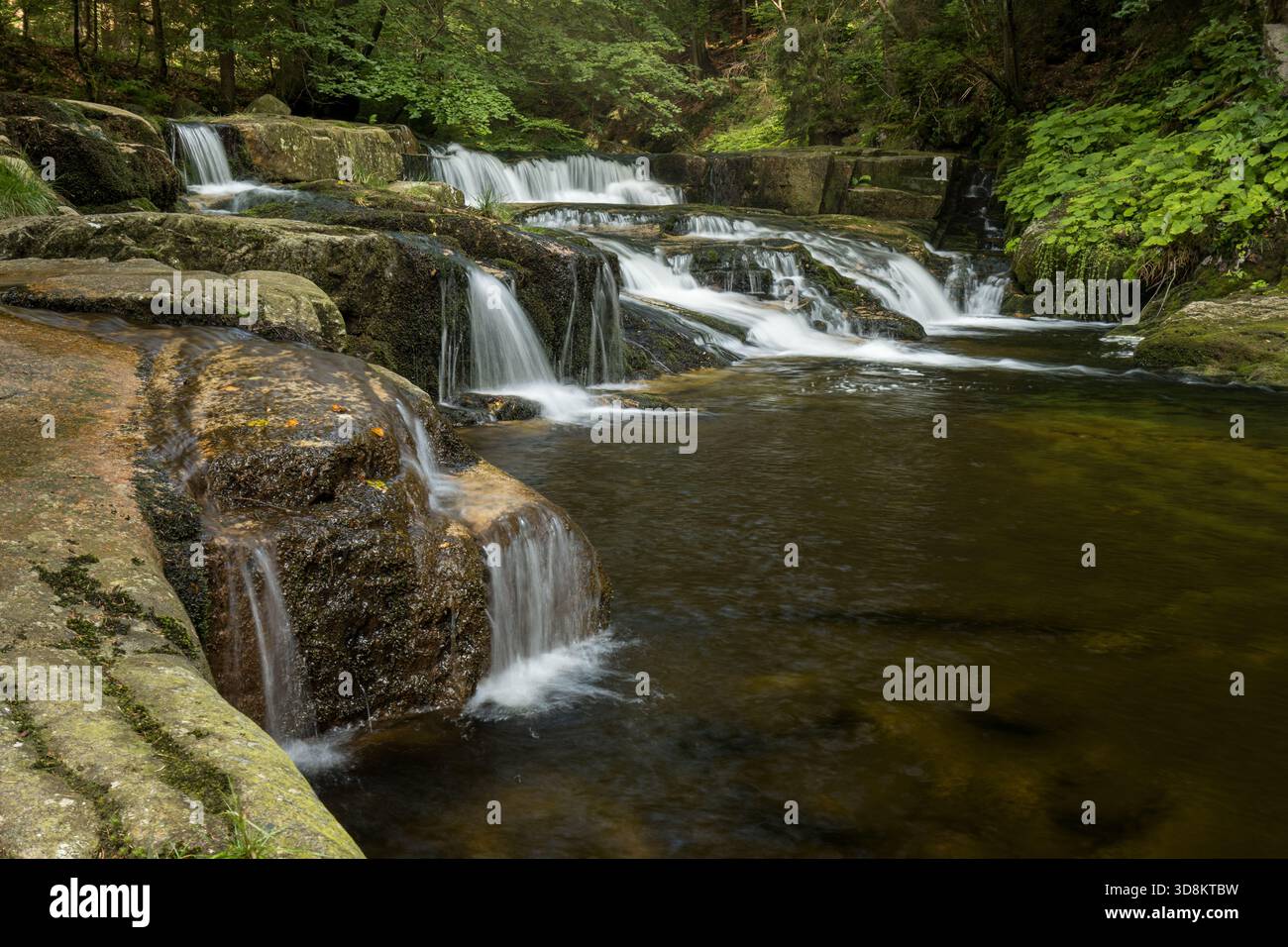Kleine gestufte Wasserfälle im Waldfluss Stockfoto