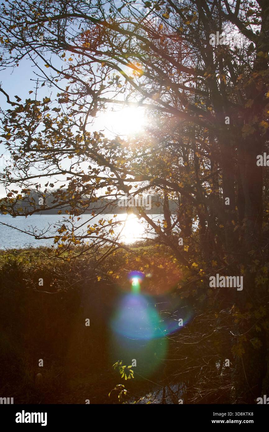 Linsenaufflackern von niedriger Wintersonne acton Lake lough Shark am newry Canal Way der See wurde während des Kanalbaus vergrößert, um die Höhe Mo zu versorgen Stockfoto