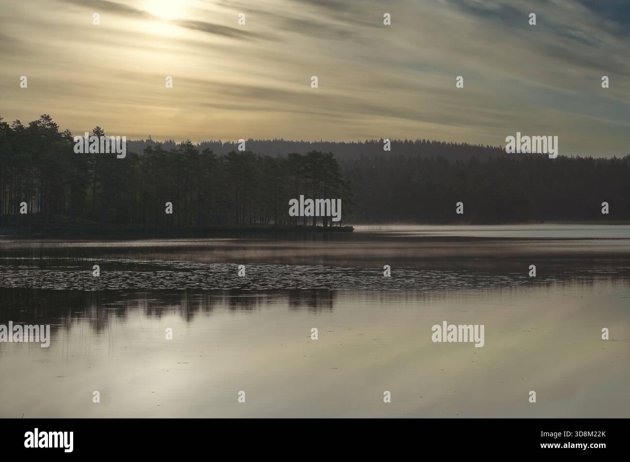 Sonnenuntergang über Einem ruhigen See mit Nebel, Reflexionen und Einer Waldkulisse, ein stimmungsvolles natürliches Idyll mit warmem Licht und Einer friedlichen Atmosphäre. Stockfoto