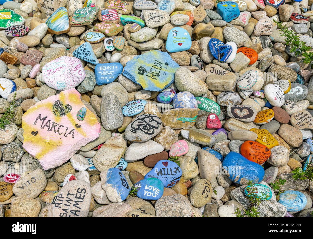 Detailbild einer Sammlung von handgemalten Felsen, die in Erinnerung an die Verlorenen entstanden sind Stockfoto