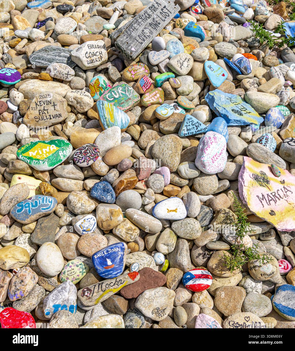 Detailbild einer Sammlung von handgemalten Felsen, die in Erinnerung an die Verlorenen entstanden sind Stockfoto