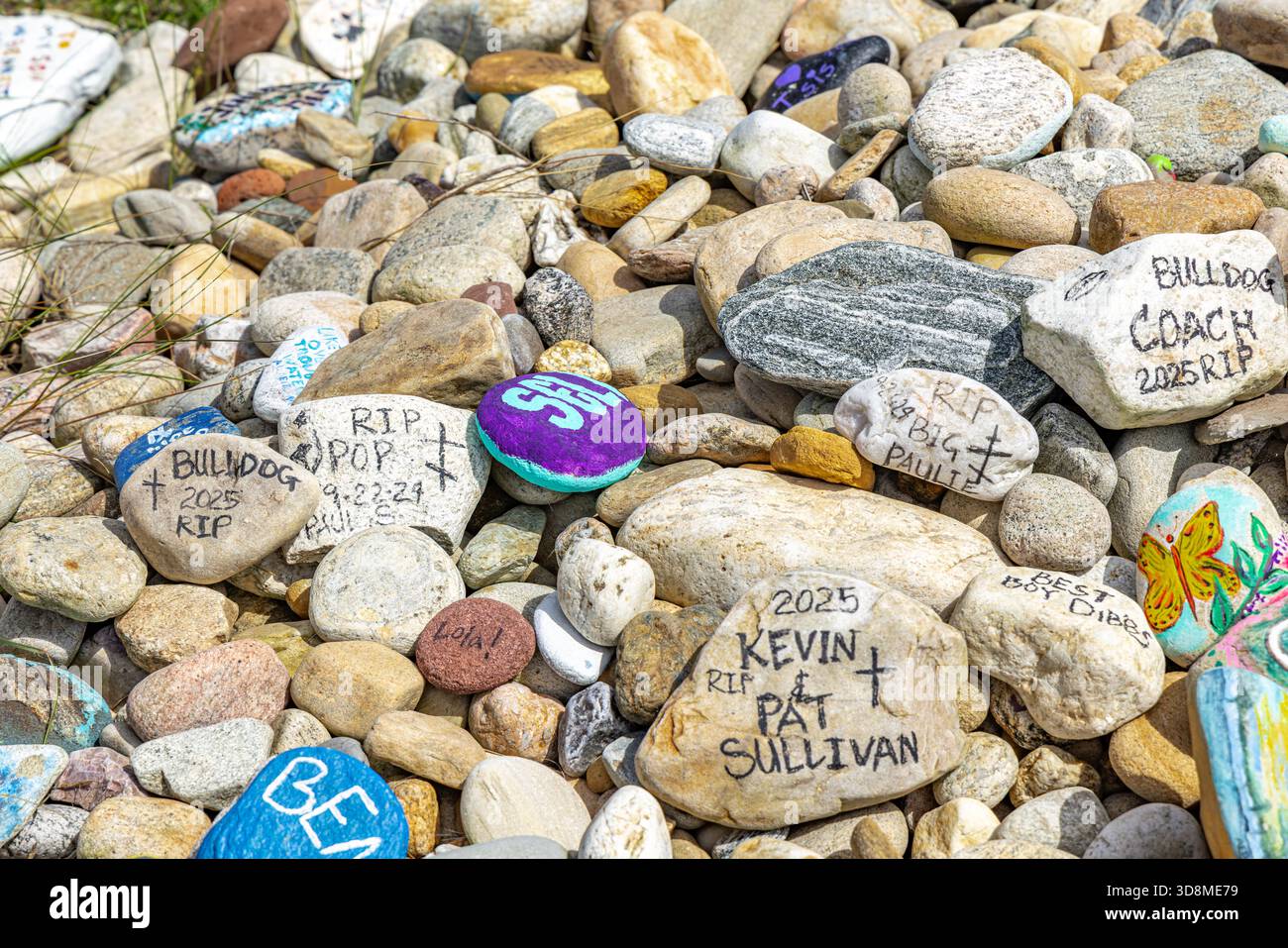 Detailbild einer Sammlung von handgemalten Felsen, die in Erinnerung an die Verlorenen entstanden sind Stockfoto