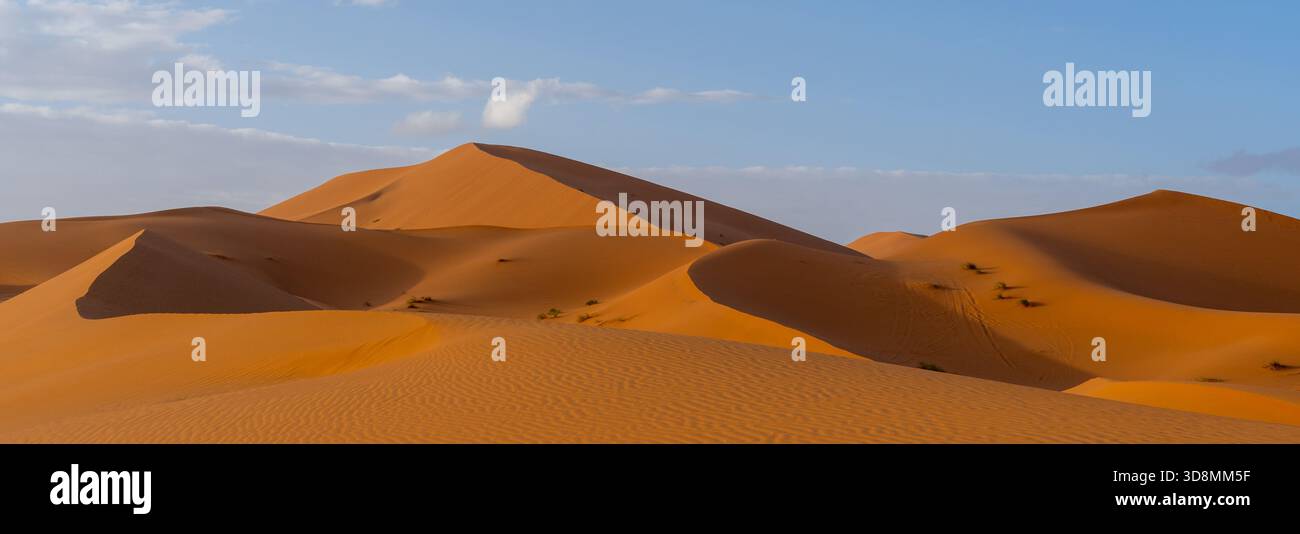 Blick auf die Sahara-Wüste in Marokko, Afrika. Die Sahara-Wüste ist die größte heiße Wüste der Welt. Stockfoto