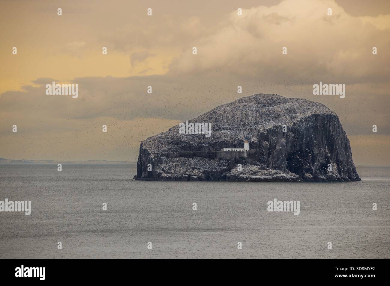 Der Bass Rock einem vulkanischen Felsen die Heimat von Tausenden von Seevögeln auf dem äußeren Reichweiten des Firth von weiter Stockfoto