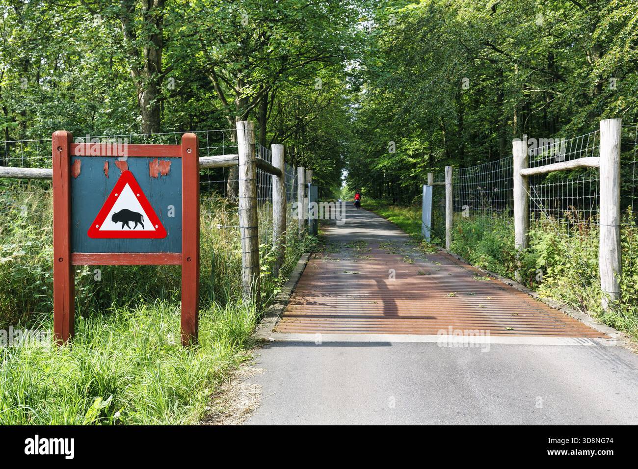 Radweg durch Waldgebiete, Zaun und Rindergitter, markantes Warnschild mit Bisonsymbol, Wisent, Bornholm, Dänemark Stockfoto