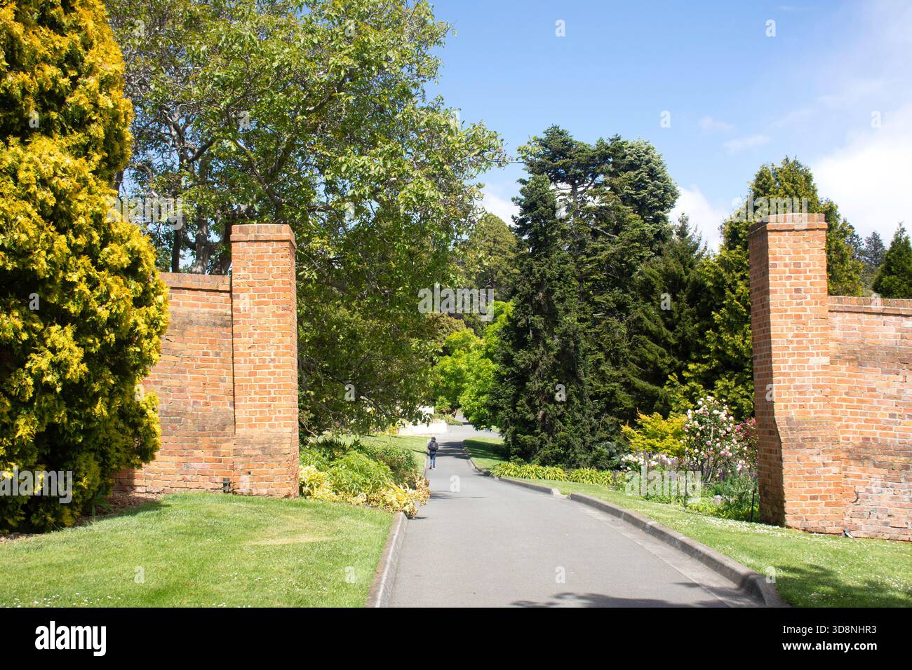 Eardley Wilmot Wall, Royal Tasmanian Botanical Gardens, Queens Domain, Hobart, Tasmanien, Australien Stockfoto