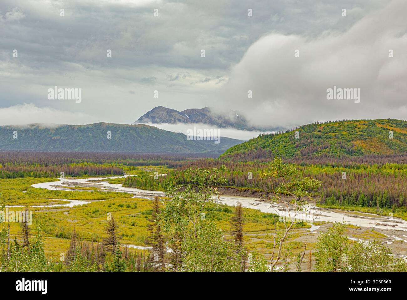 Ein sich windender Fluss fließt durch ein üppiges grünes Tal mit wolkenbedeckten Bergen, die sich in der Nähe von Talkeetna, Alaska, erheben. Stockfoto