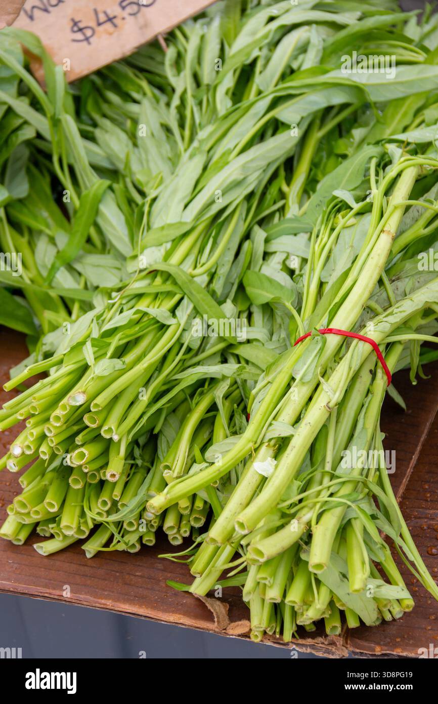 Wasserspinatbündel zum Verkauf auf dem Markt im Freien Stockfoto