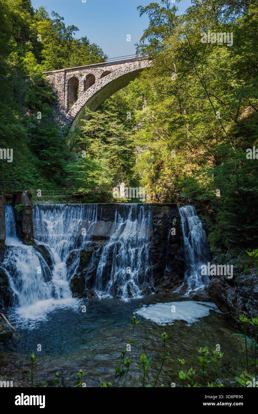 Wasserfall am Fluss Radovna in der Vintgar-Schlucht mit Eisenbahnbrücke darüber, Triglav-Nationalpark, Slowenien. Stockfoto