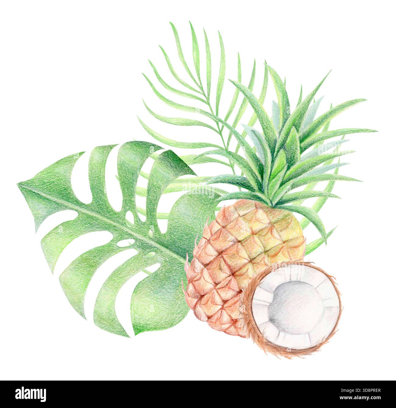 Ananas, Kokosnuss und tropische Blätter, Aquarell und farbige Bleistiftillustration Stockfoto