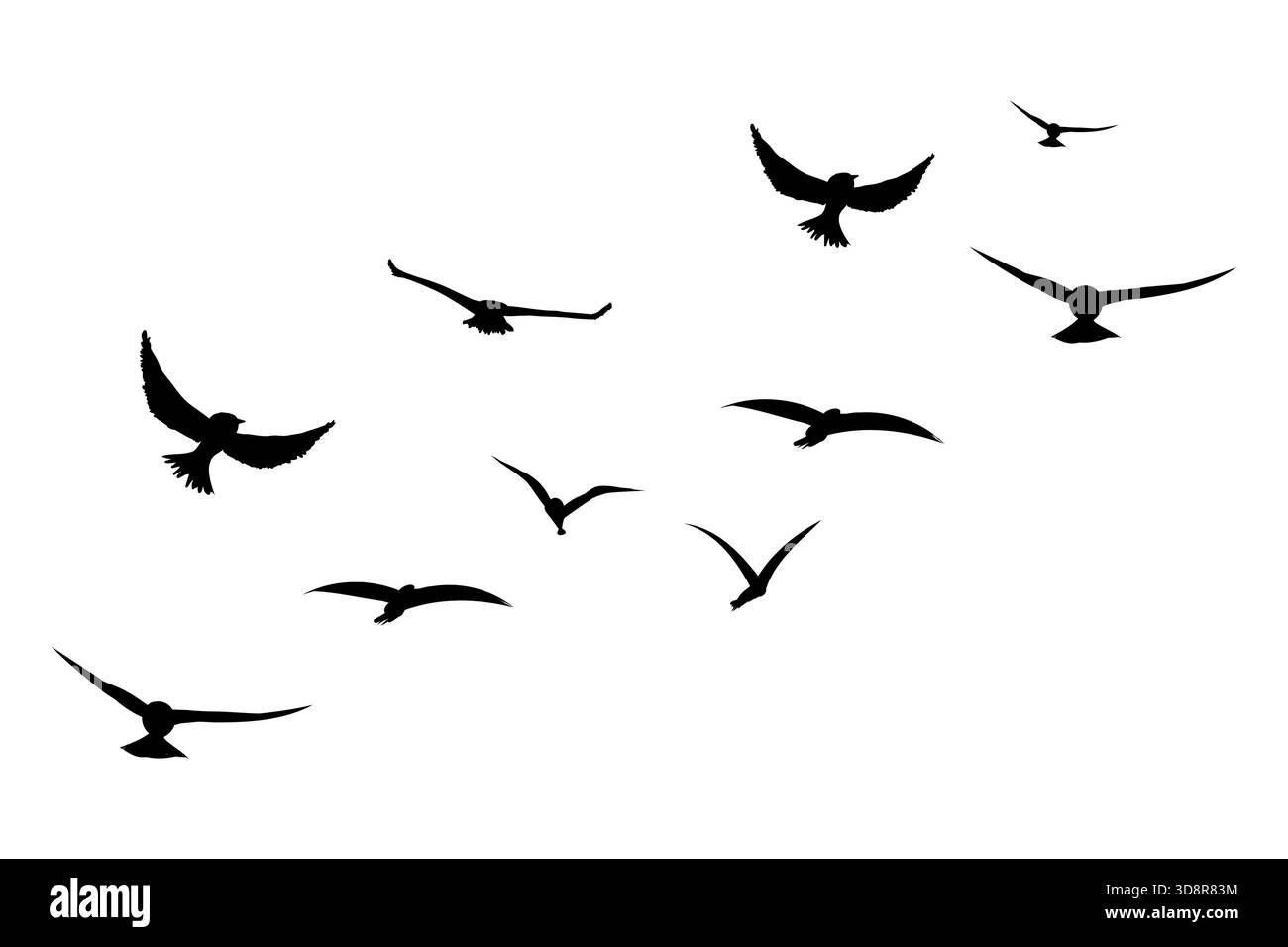 Fliegende Vogelschwärme Silhouette, einfache Schwalben im Flug, Krähen am Himmel. Gruppe von Vögeln Grenze. Vektorabbildung Stock Vektor
