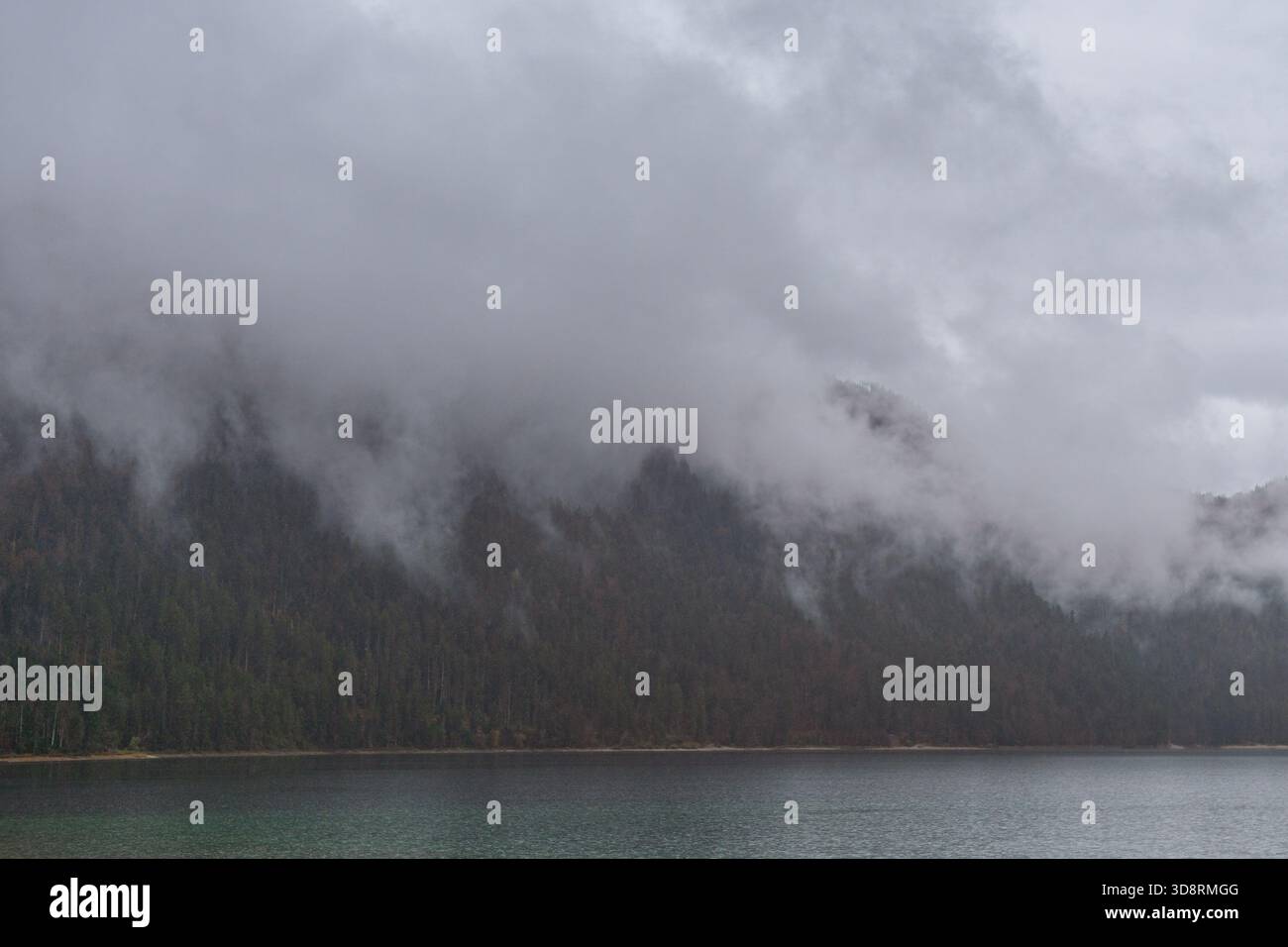 Nebel fließt sanft über einen mit Kiefern bedeckten Hügel neben einem ruhigen See. Weiche Nebelschichten sorgen für einen glatten, gedämpften Look. Stockfoto