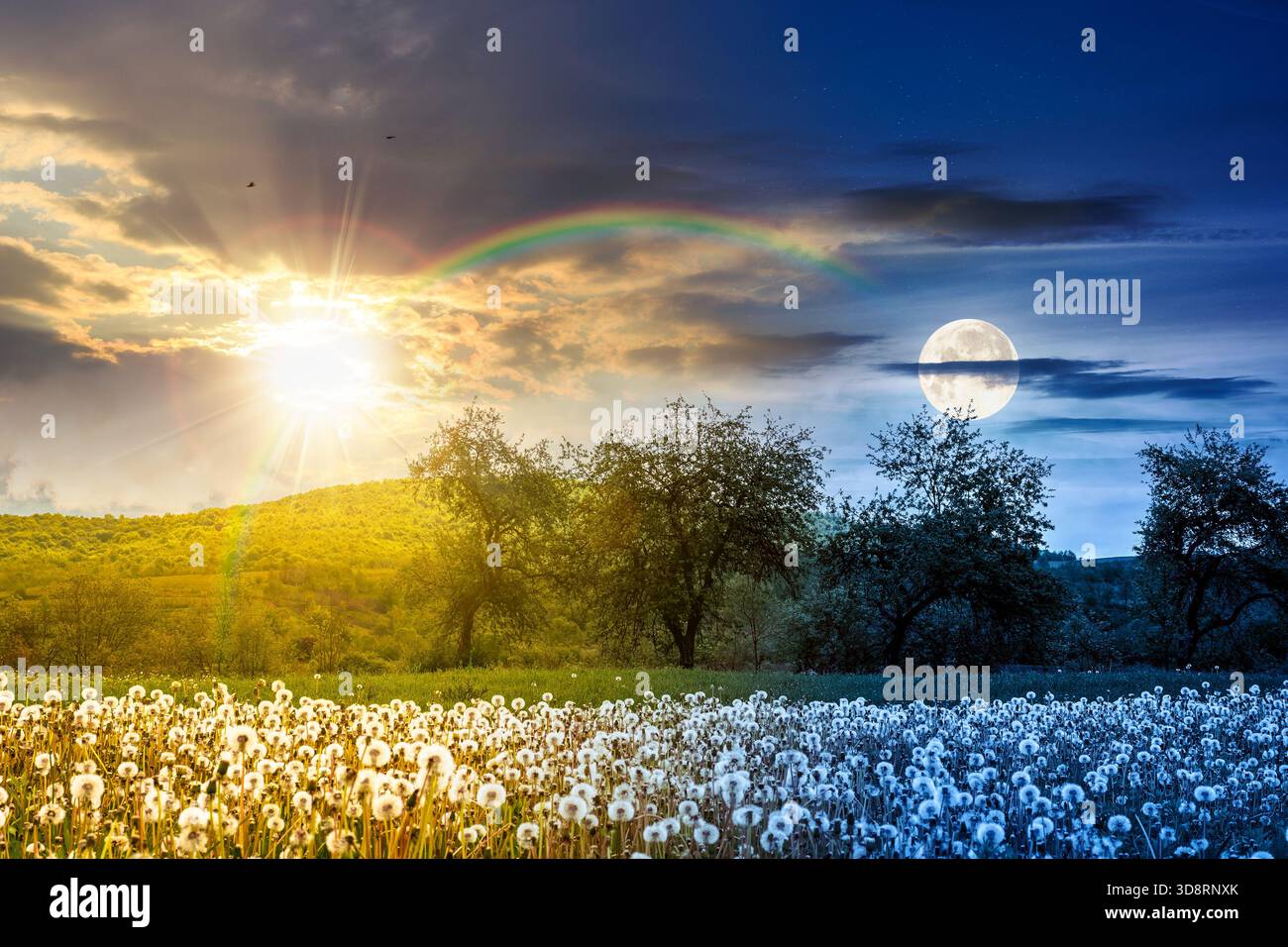 Ländliche Landschaft mit blühendem Löwenzahnfeld an Frühlings-Tagundnachtgleiche. Tag- und Nachtzeitwechsel. Ackerland mit Berg unter der Sonne und Stockfoto