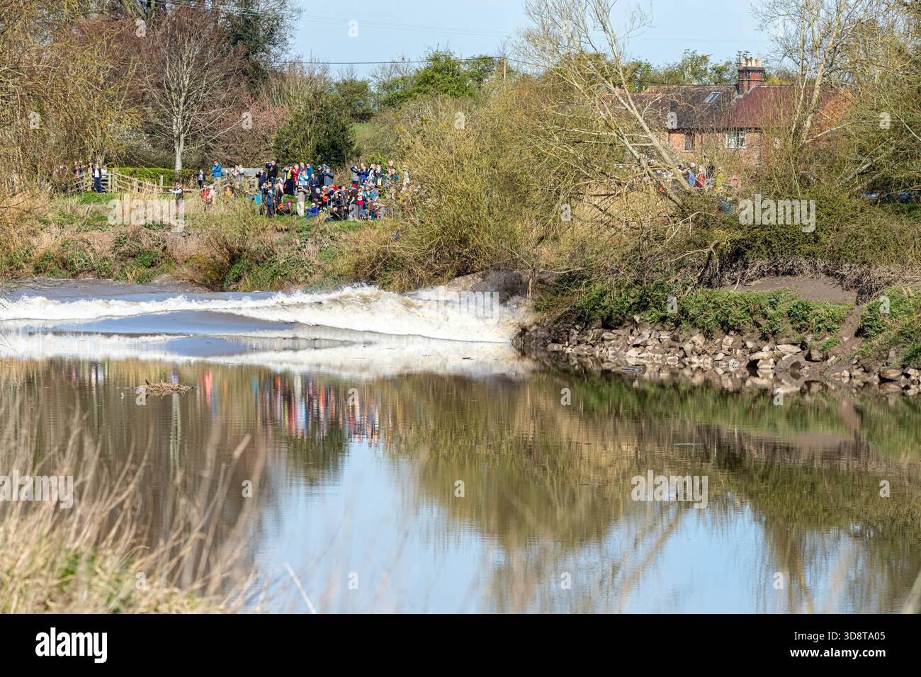 Zuschauer beobachten die 4* Severn Bore am 31/3/2025, die auf der Bank in Minsterworth, Gloucestershire, England, Großbritannien, aufbrechen Stockfoto