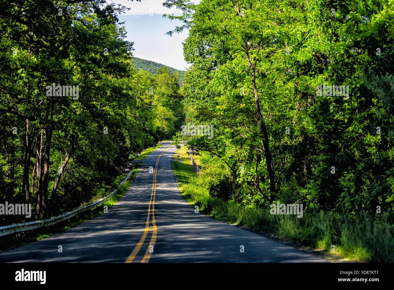 Die kurvige Straße am Lyndhurst Virginia Country Highway im Sommer durch eine rustikale Farm inmitten der Blue Ridge Mountains Stockfoto
