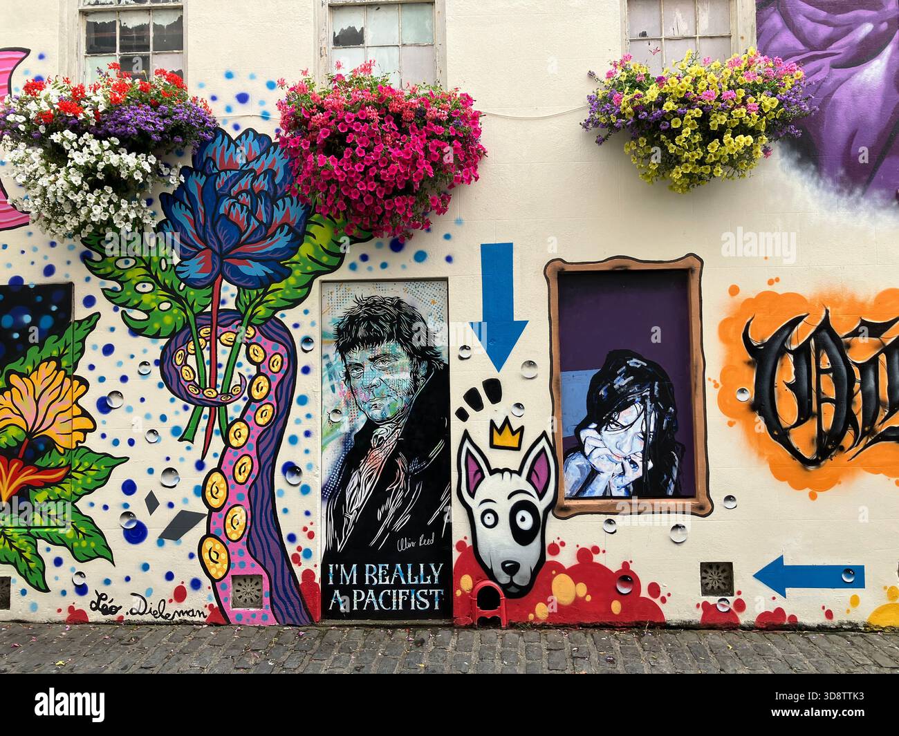 Britische Kanalinseln. Guernsey. St. Peter Port. Mansell Street. Handgemalte Wandgemälde auf leerem Grundstück. Stockfoto