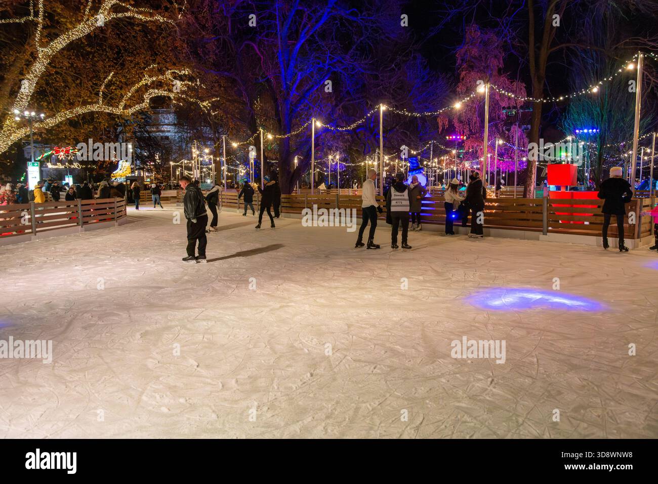 Wiener Eistraum, eine große, beliebte Eislaufbahn im Freien, die während der Wintermonate am Wiener Rathausplatz eingerichtet wurde. Stockfoto