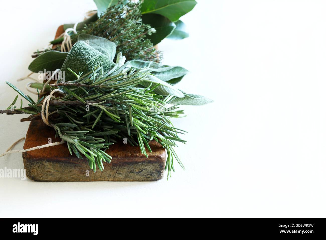 Auswahl an frischen aromatischen Kräutern wie Lorbeerblätter, Thymian, Salbei und Rosmarin, die in der italienischen und mediterranen Küche verwendet werden, weißer Hintergrund. Stockfoto
