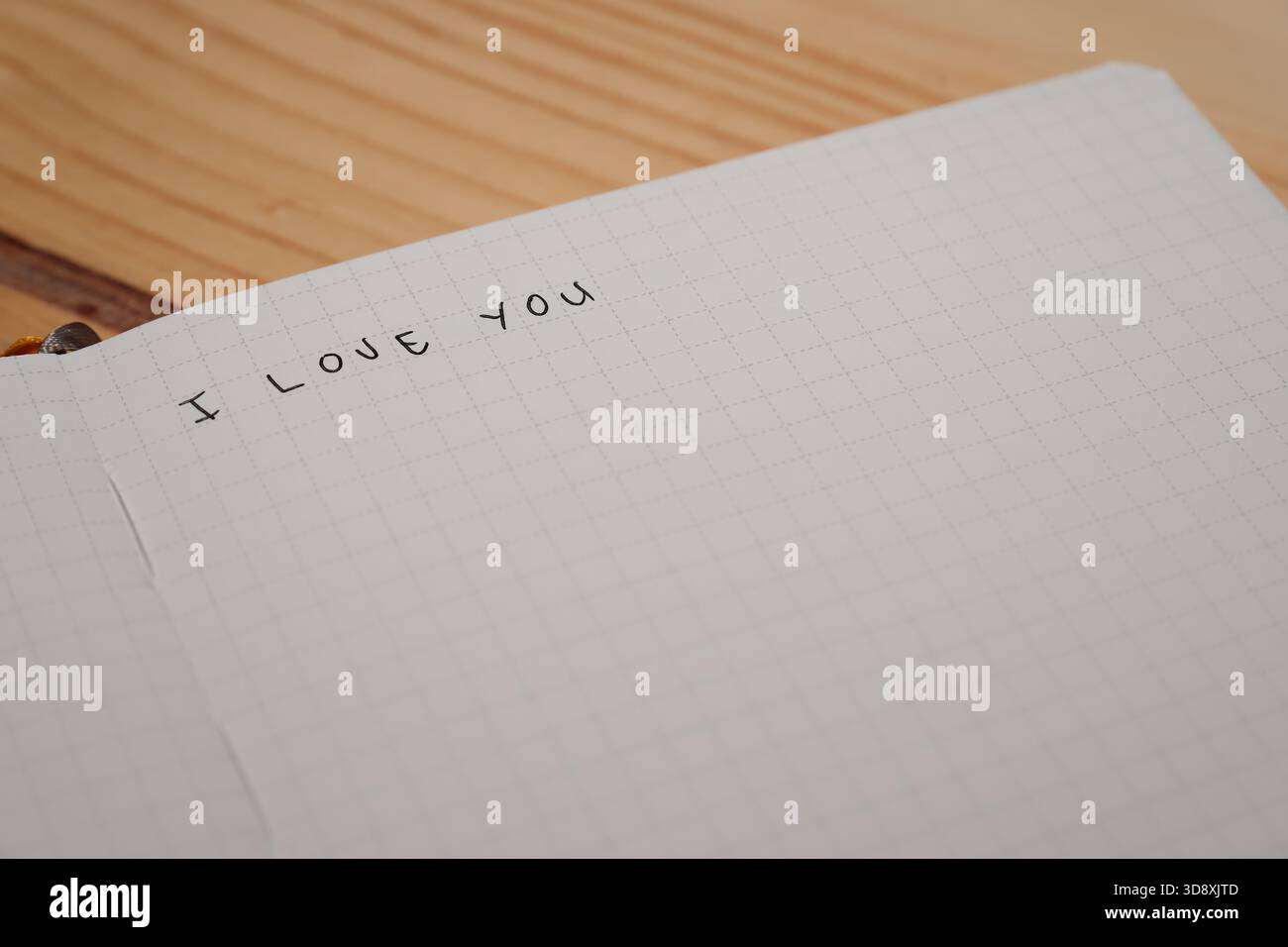 Nahaufnahme eines offenem Raster-Notizbuchs mit dem handgeschriebenen Wort „Sorry“ auf einer leeren Seite, die auf eine Holzfläche gelegt wurde. Stockfoto